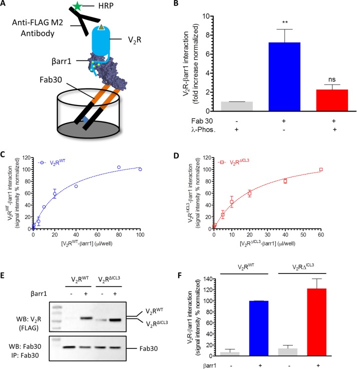 FIGURE 2: