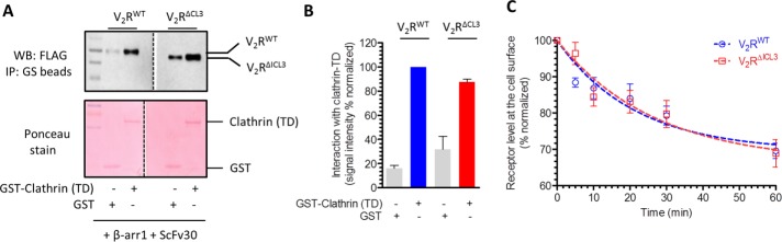 FIGURE 4: