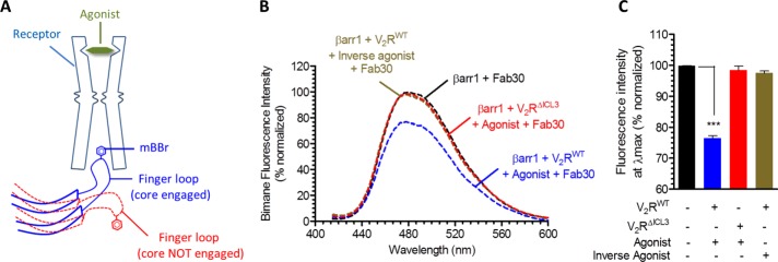 FIGURE 3: