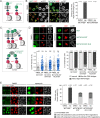 FIGURE 7: