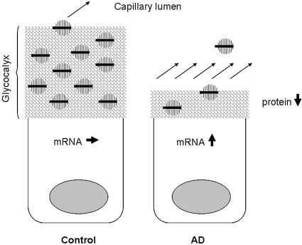 Figure 10.