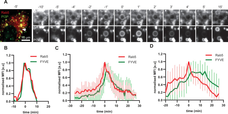 Figure 5—figure supplement 1.