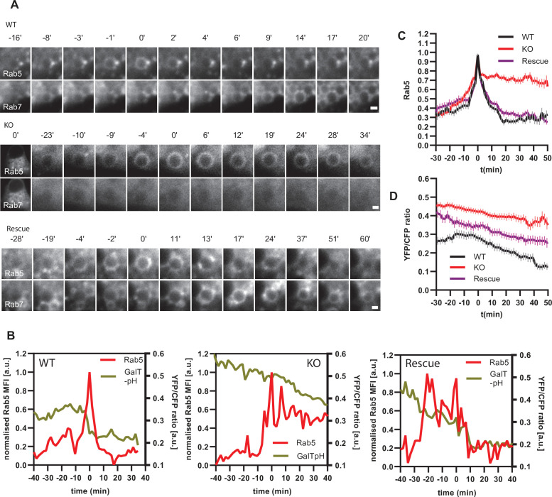 Figure 12.