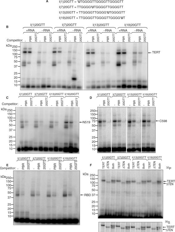 Figure 5.