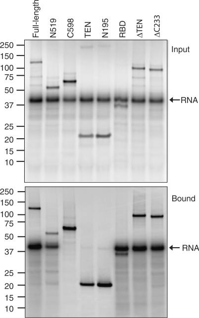 Figure 7.