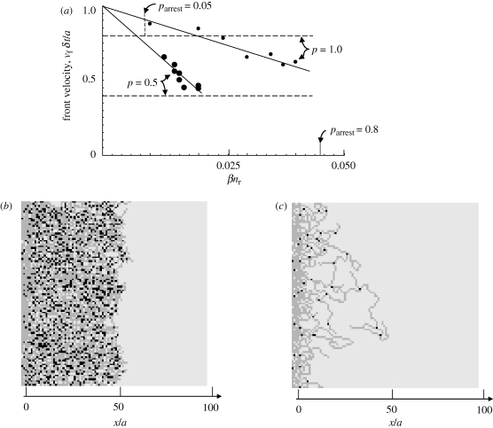 Figure 6.