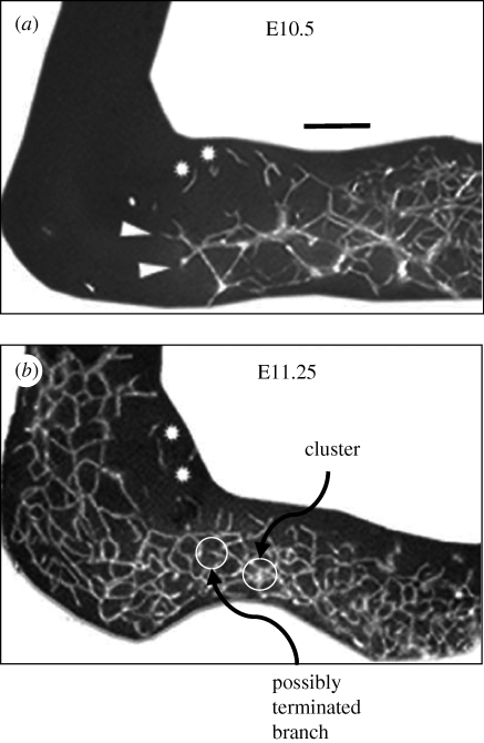 Figure 10.