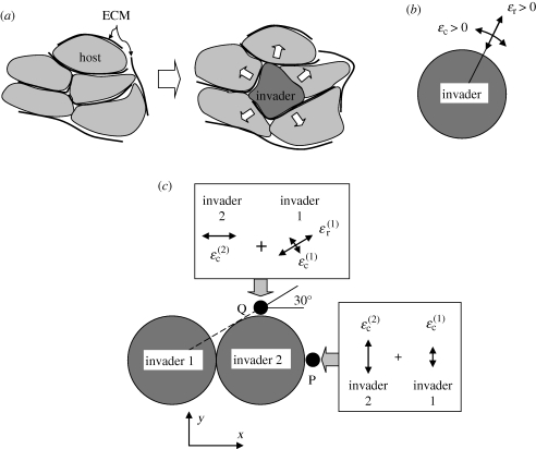 Figure 1.