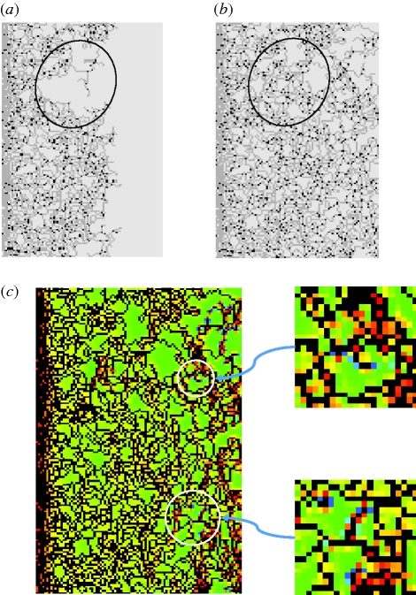 Figure 11.