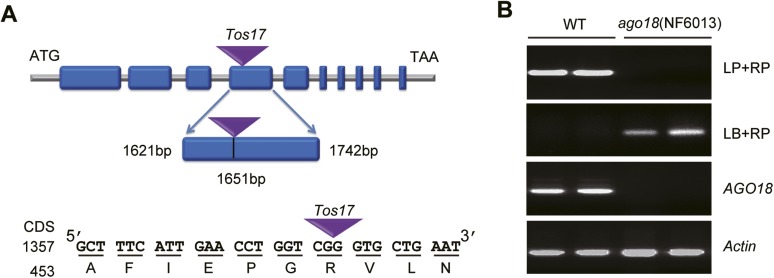 Figure 2—figure supplement 3.