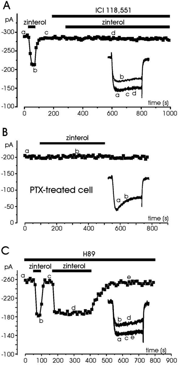 Fig. 9.