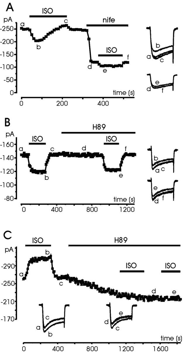 Fig. 5.