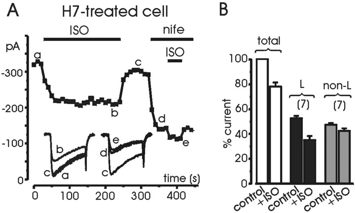 Fig. 6.