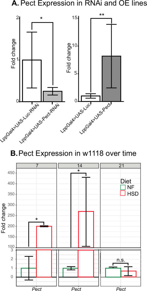 Figure 6—figure supplement 1.