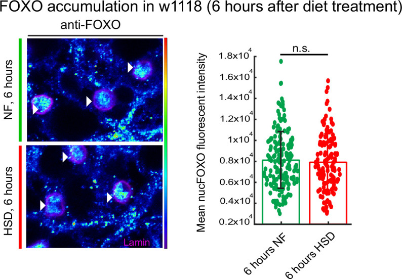 Figure 2—figure supplement 2.