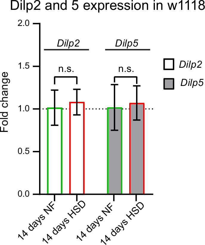 Figure 2—figure supplement 1.