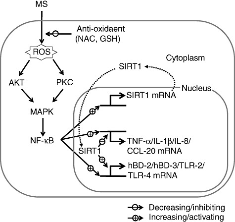 Fig. 8