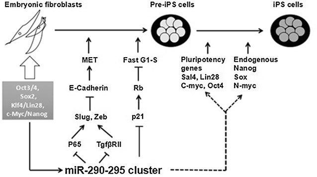 Fig. 2