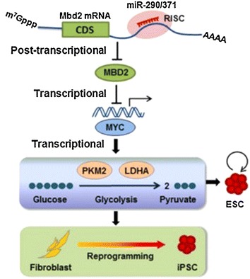 Fig. 4