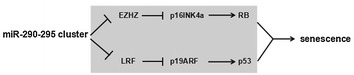 Fig. 7