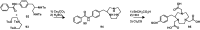 Scheme 9