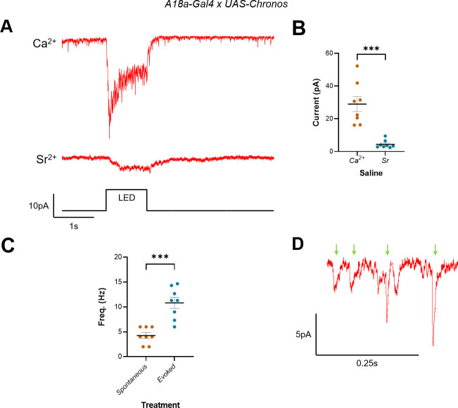 Figure 4—figure supplement 1.