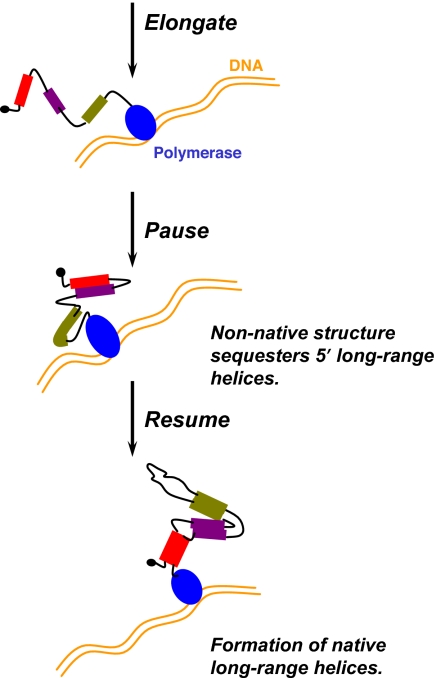 Fig. 5.