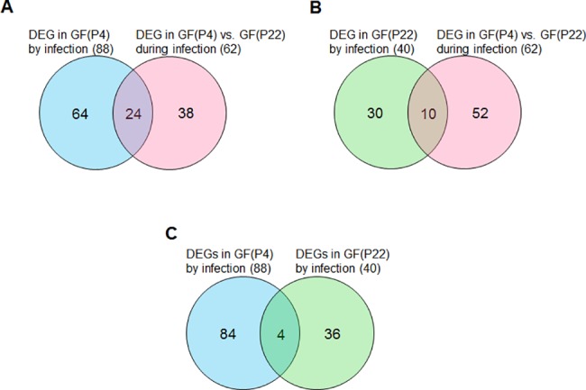 Fig 5