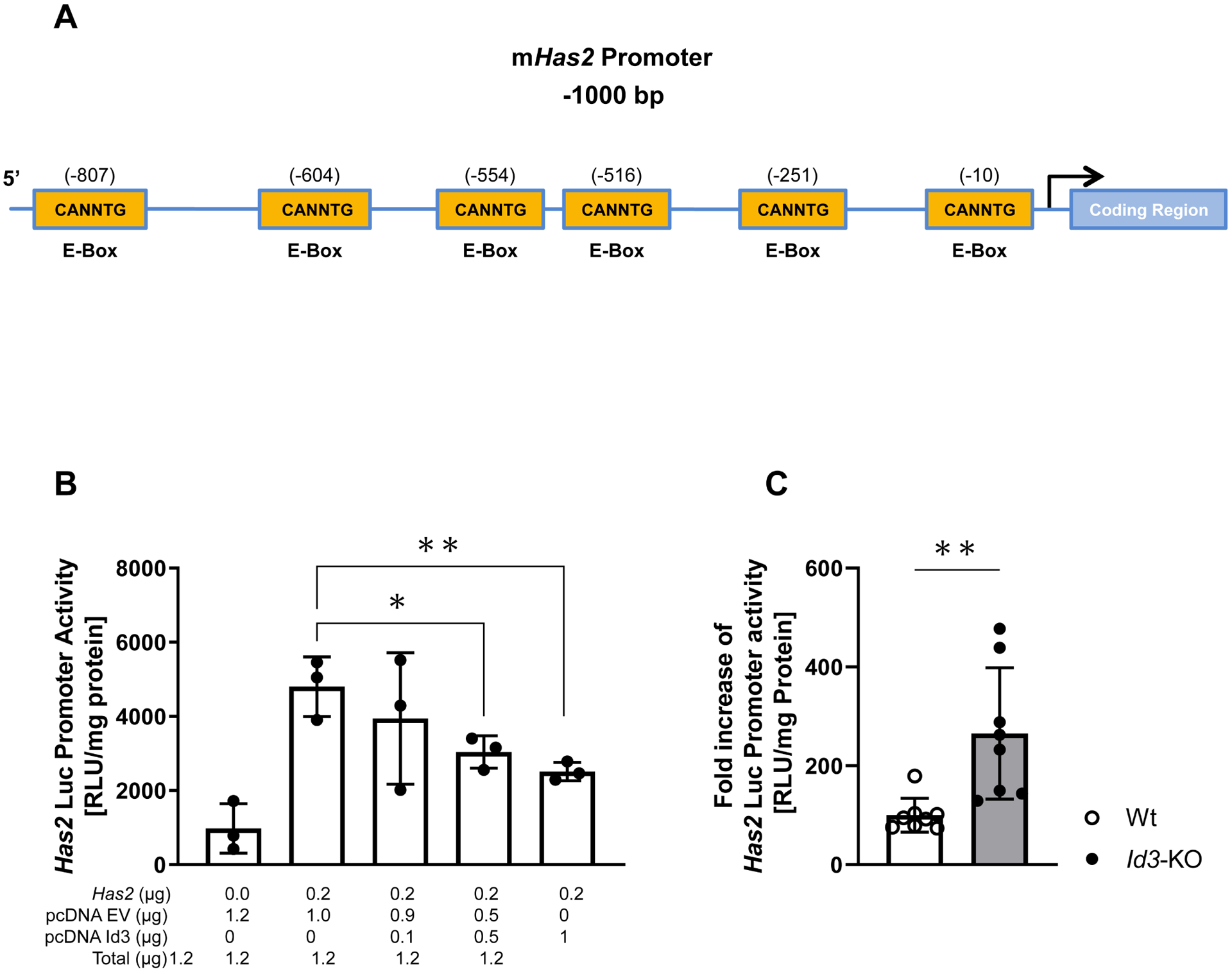 Figure 4: