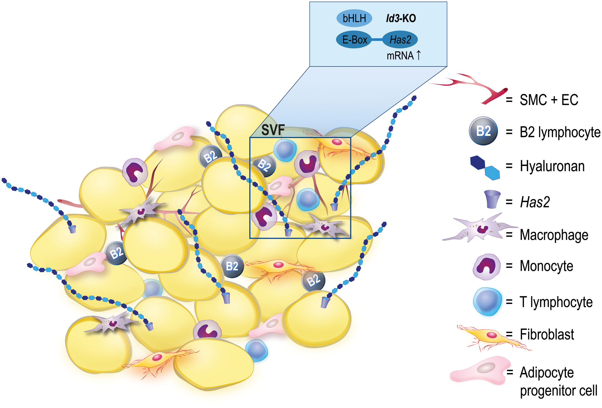 Figure 6: