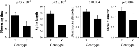 Figure 4.—