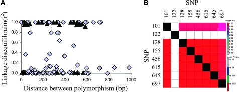 Figure 3.—