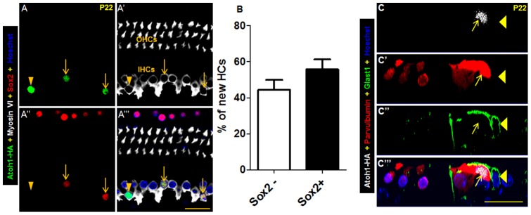 Figure 6