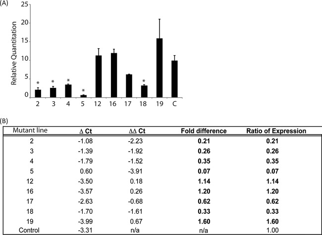 FIG 1