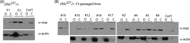 FIG 2