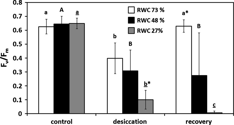 Fig. 6