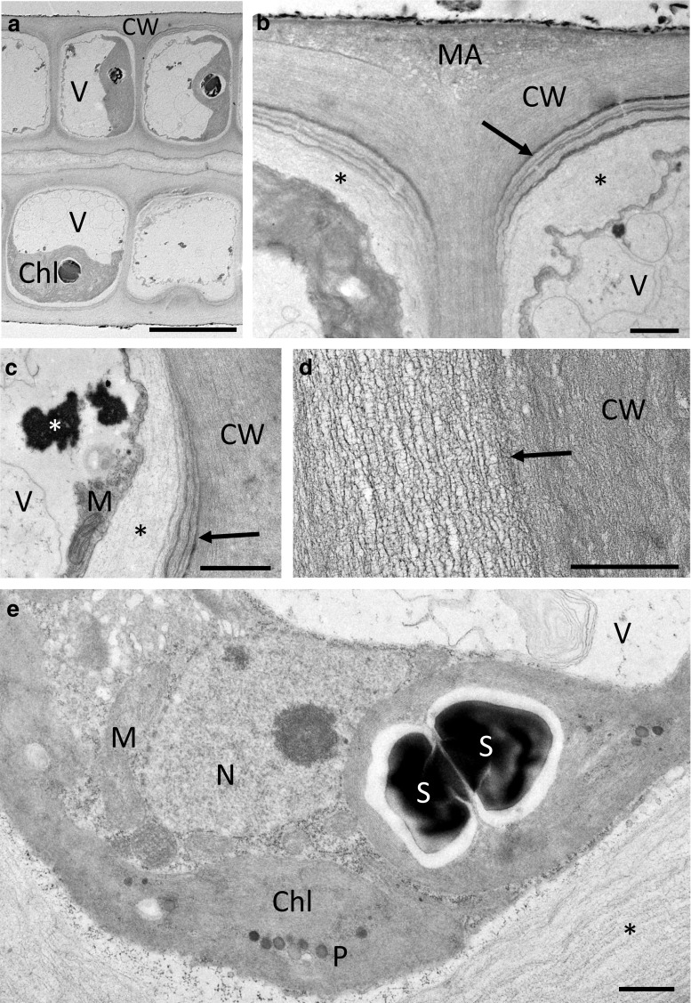 Fig. 4