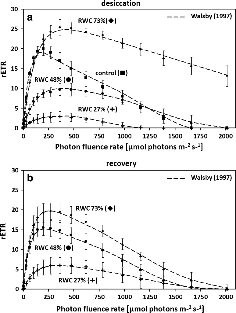 Fig. 8