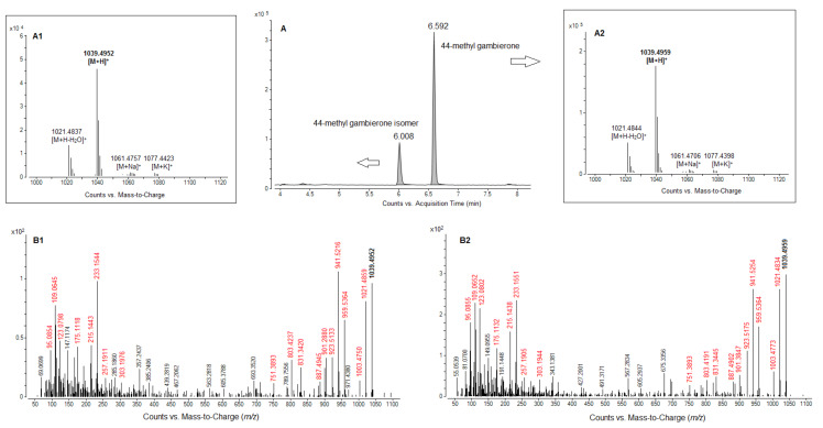 Figure 10