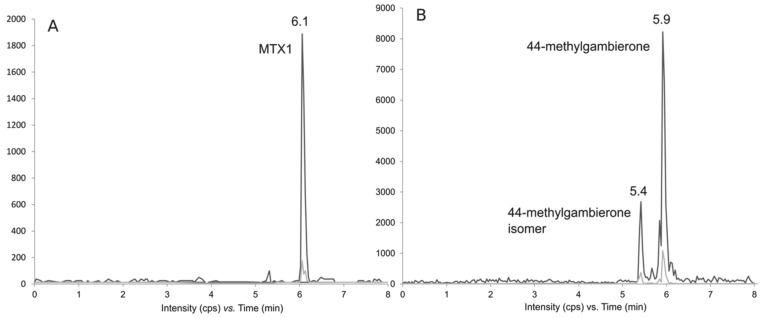 Figure 11