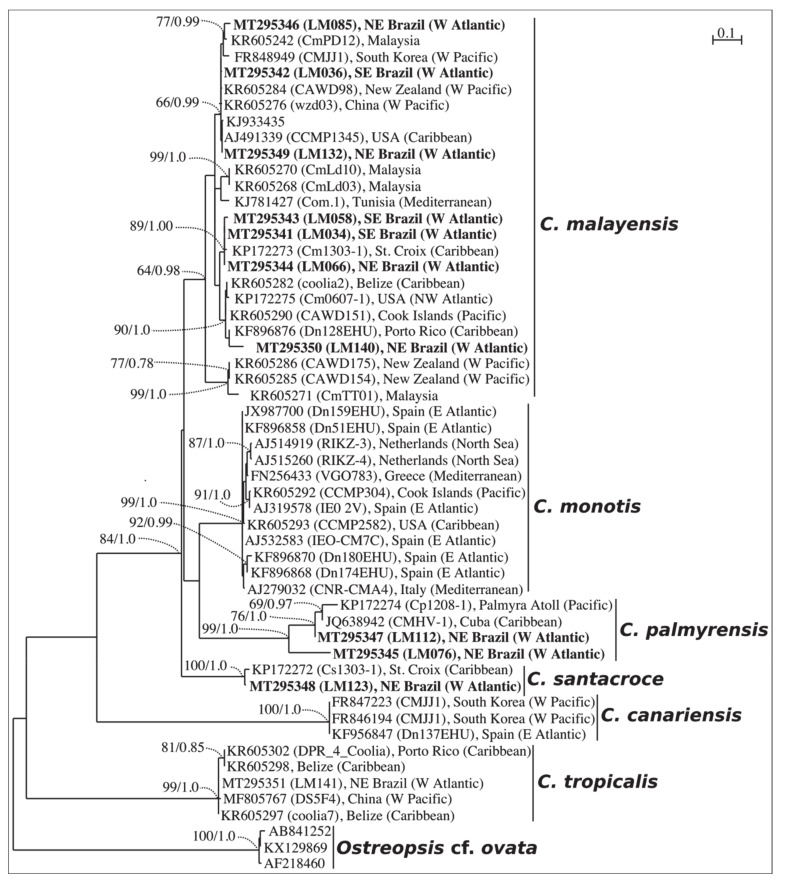 Figure 1