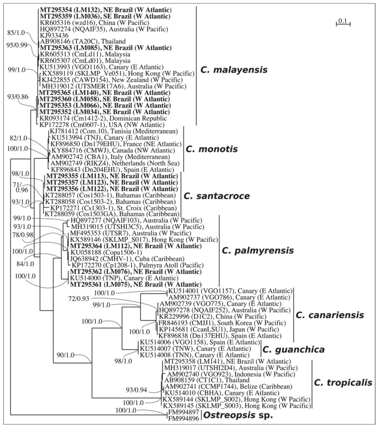 Figure 2