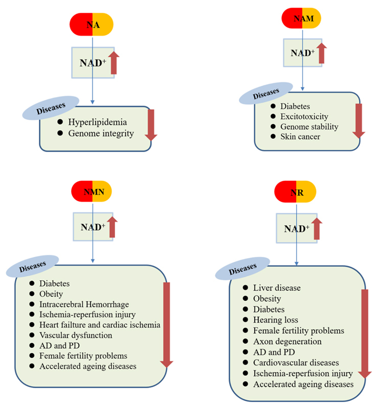 Figure 5.