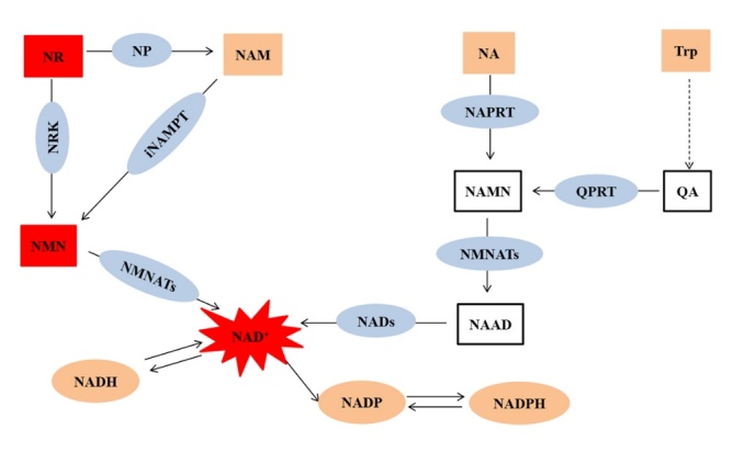 Figure 3.