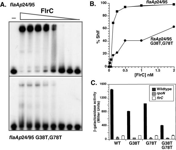 FIG. 6.