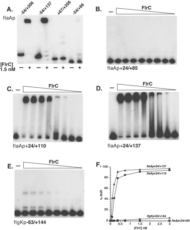 FIG. 3.