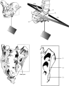 Fig. 2