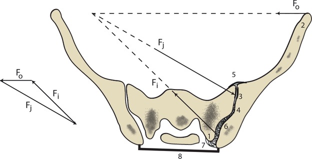 Fig. 11