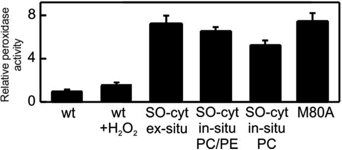 Fig. 6