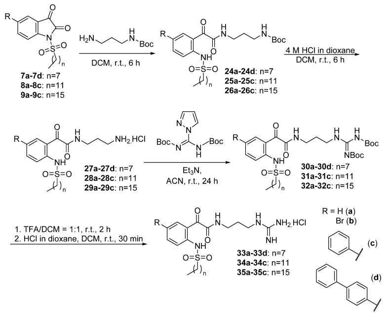 Scheme 4